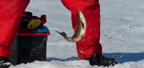 Rödingfiske på isen.