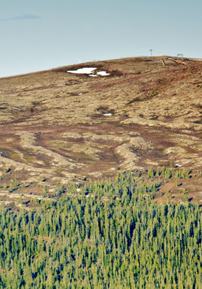 Im Gefälle verlaufende Oser beim Fjätervålen.