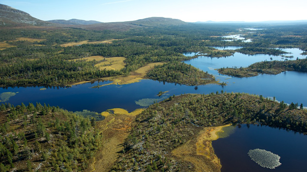 Rogenmoränenlandschaft. Foto: Naturcentrum AB.