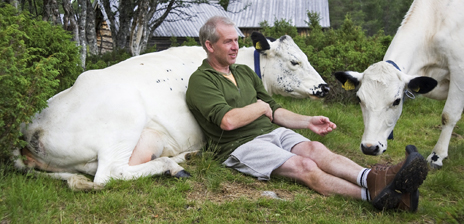 Auf der Alm kommen sich Mensch und Vieh nahe.