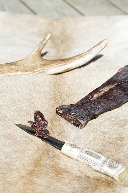 Die Rentiere liefern seit Jahrtausenden Fleisch, Häute und Geweihe. Foto: Kentaroo Tryman