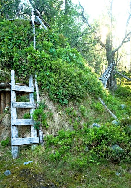 Überreste einer samischen Kote im Naturschutzgebiet Långfjället. Foto: Marcus Elmerstad.