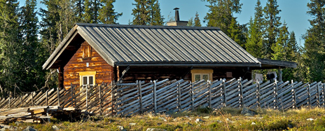Lofjätåsen. Foto: Naturcentrum AB.