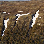 Slukrenner rett utenfor naturreservatet.